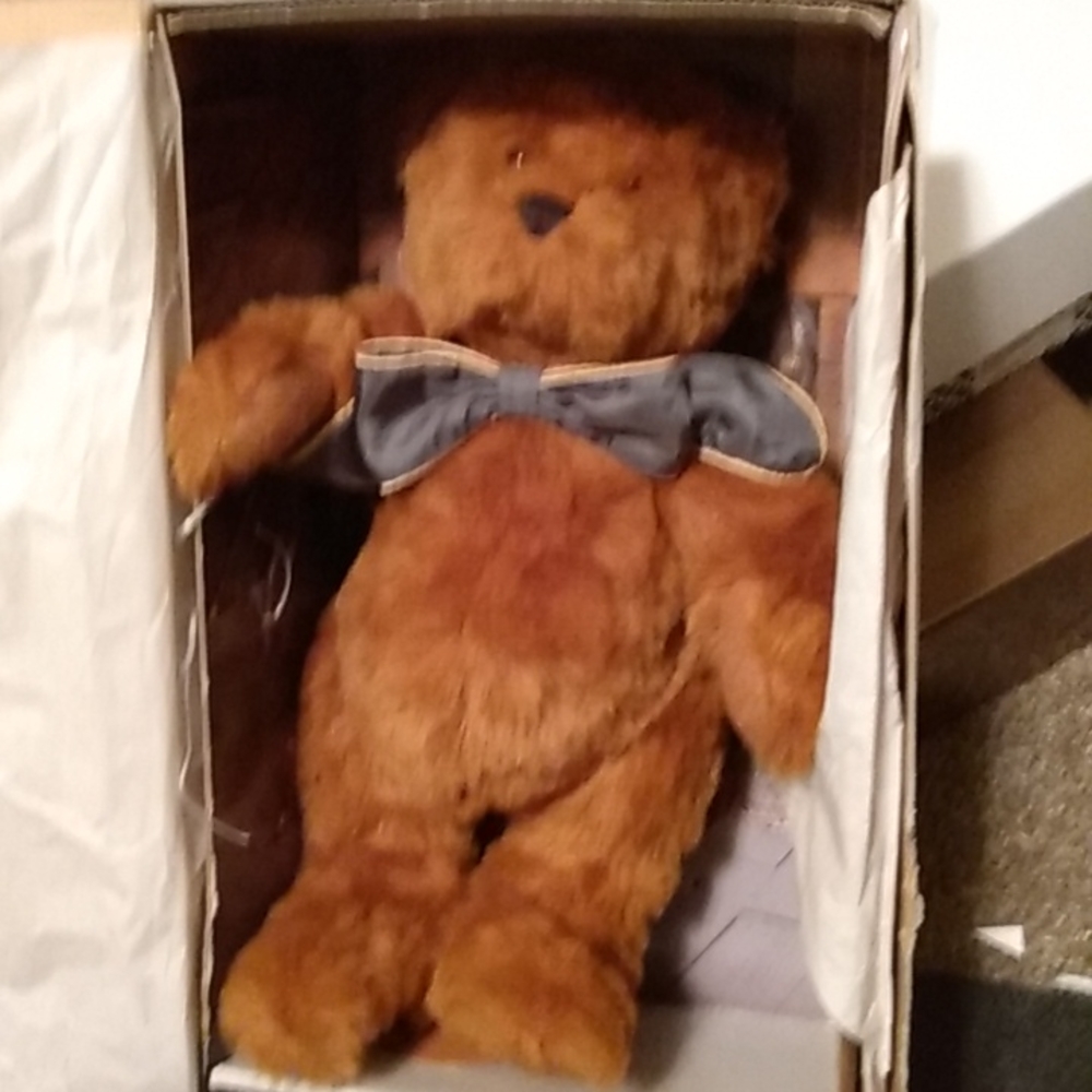 Toy Cinnamon Bear with adventure cassette tape.